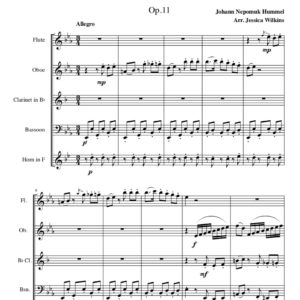 Hummel Rondo Op.11 - Woodwind Quintet (Digital Download)