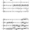Hummel Rondo Op.11 - Woodwind Quintet (Digital Download) - Image 6