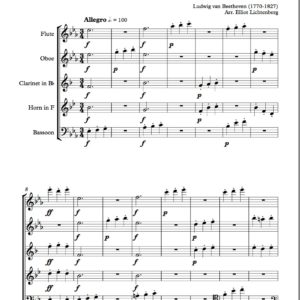 Beethoven Scherzo - Woodwind Quintet (Digital Download)