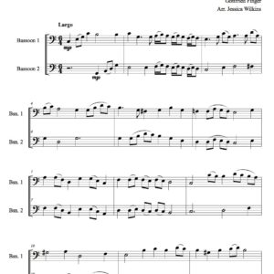 Finger Sonata No.3 - Bassoon duet (Digital Download)