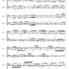 Mattheson Sonata No.9 - bassoon duet (Digital Download) - Image 4