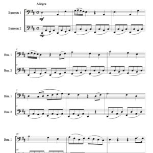 Stamitz Bassoon Duet in D major (Digital Download)