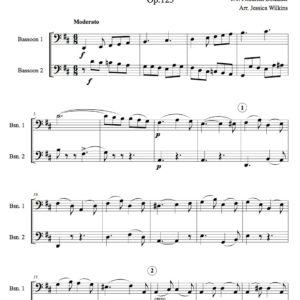 Dotzauer study no.10 - bassoon duet (Digital Download)