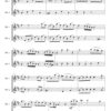 Stamitz oboe duet in d major (Digital Download) - Image 3