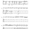 Sarasate Carmen Fantasy Op.25 - Bassoon & Piano (Digital Download) - Image 4