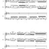 Chopin Nocturne in D flat Major - Flute, Bassoon, Piano (Digital Download) - Image 3