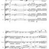 Beach Romance Op.23 - Flute & Strings (Digital Download) - Image 5