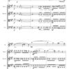 Beach Romance Op.23 - Flute & Strings (Digital Download) - Image 6