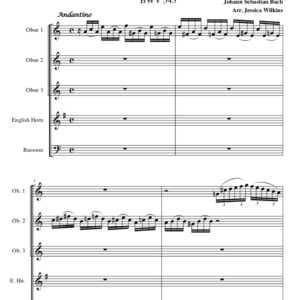 Bach Prelude in A minor - Double Reed Quintet