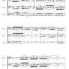 Mattheson Sonata No.3 Bassoon trio (Digital Download) - Image 2