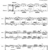 30 Short Bassoon Duets - Intermediate (Digital Download) - Image 4