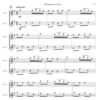 40 Progressive Flute Duets (Digital Download) - Image 4