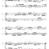 CPE Bach Violin Duet WQ 142 H636 (Digital Download) - Image 2
